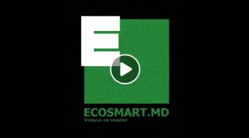 Ecosmart – electro scutere si trotinete pentru fiecare zi